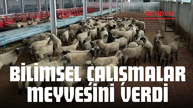 Bilimsel Çalışmalar Meyvesini Verdi