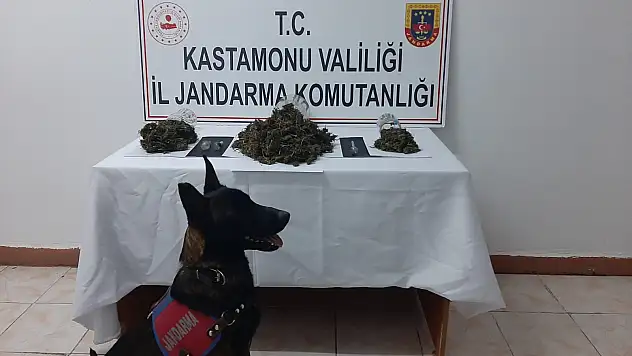Bin 500 gram kubar esrar ele geçirildi