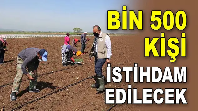 Bin 500 Kişi İstihdam Edilecek