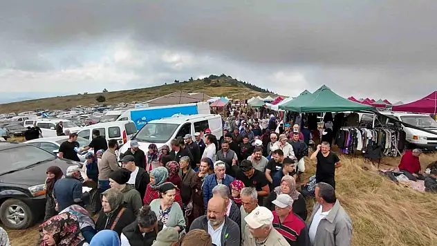 Bin 850 rakımlı zirvede şifa mesaisi: Hacet Bayramı'nda sarı kantaron topladılar