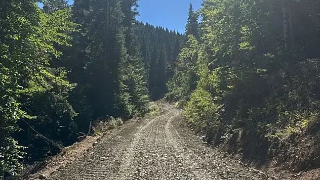 Bir Orman Yolu Daha Tamamlandı