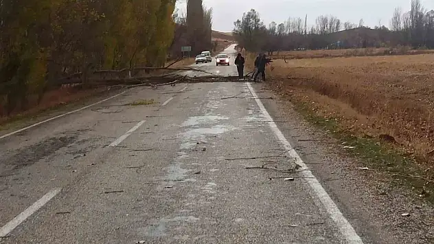 Çorum Boğazkale'de Şiddetli Rüzgar Ağaçları Devirdi