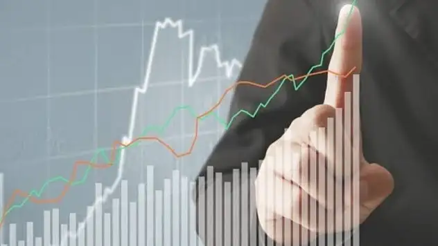 Bölgemizde Hanehalkı Tüketim Harcaması Yüzde 0,7