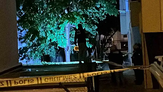 5. Kattan Düşerek Hayatını Kaybetti