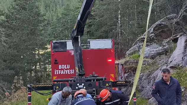 Bolu'da 50 metrelik uçuruma düşen inek vinçle kurtarıldı