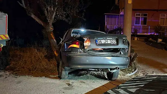 Bolu'da Alkollü Sürücü Ağaca Çarptı