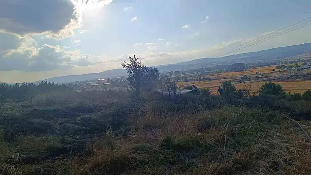 Bolu'da anız yangını ağaçlık alana sıçramadan söndürüldü