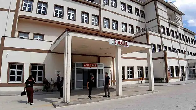Bolu'da Ayı Saldırısı