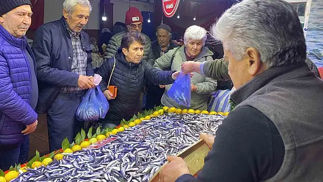 Bolu'da Balık Tezgahlarında Hamsi Bolluğu