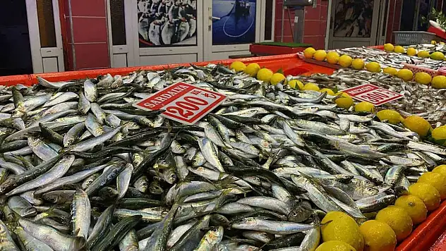 Bolu'da Balık Tezgahlarını Fırtına Vurdu