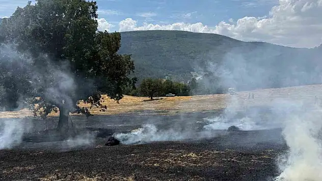 Bolu'da balya makinesinden çıkan kıvılcımlar yangına neden oldu