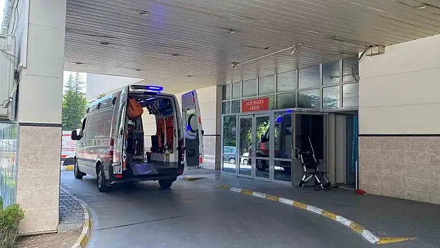 Bolu'da Bir Hastada 'Deli Dana' Hastalığı Tespit Edildi