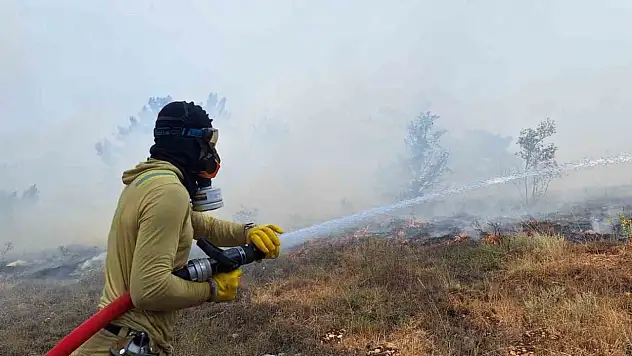 Bolu'da Çıkan Orman Yangını Kontrol Altına Alındı