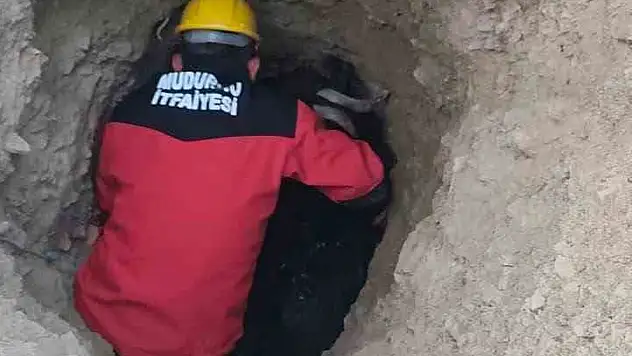Bolu'da çukurda mahsur kalan keçiyi itfaiye ekipleri kurtardı
