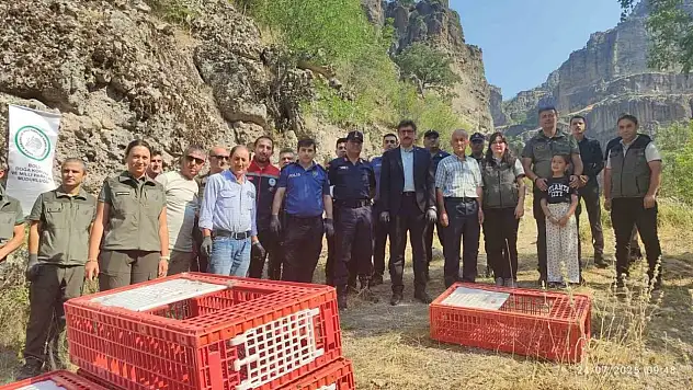 Bolu'da Doğaya 600 Kınalı Keklik Bırakıldı