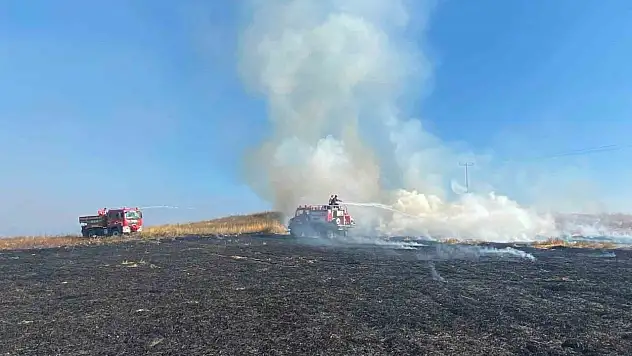 Bolu'da elektrik direğinden çıkan yangında 8 dekar alan zarar gördü
