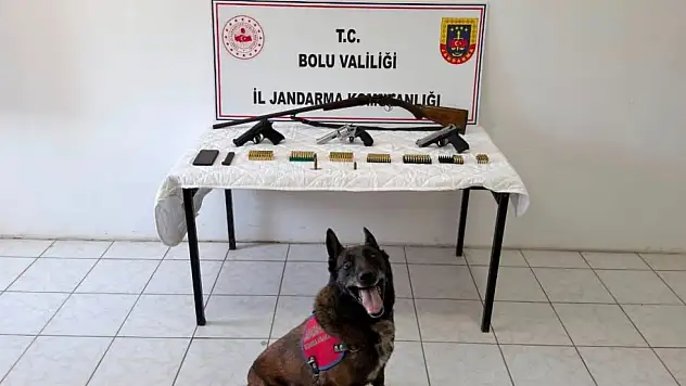 Bolu'da evinde silah ve mühimmat bulunan şüpheli tutuklandı