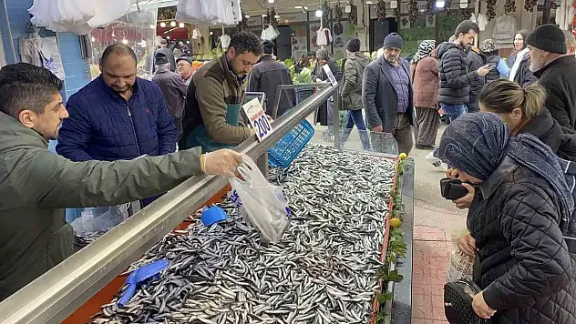 Bolu'da Hamsi Bolluğu Sürüyor