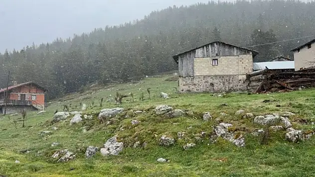 Bolu'da Hava Sıcaklıkları Düştü, Yaylalar Beyaza Büründü