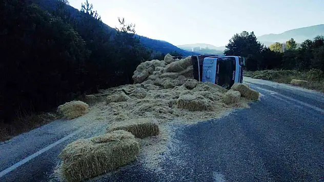 Bolu'da iki kamyon kafa kafaya çarpıştı: Samanlar yola saçıldı, 2 yaralı