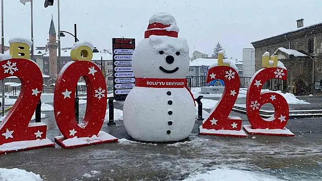 Bolu'da Kar Fırtınası Hayatı Olumsuz Etkiledi