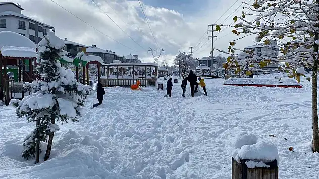Bolu'da Kar Kalınlığı 30 Santimetreye Ulaştı