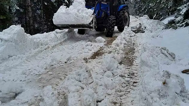 Bolu'da Karla Kaplanan Yayla Yollarını Köylüler Açtı