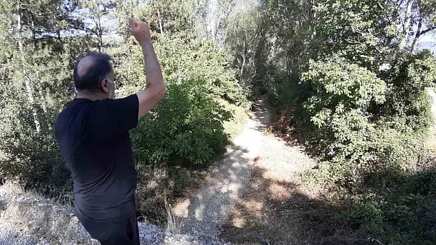 Bolu'da Kuraklık Dereleri Kuruttu