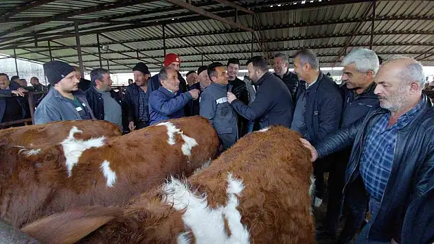 Bolu'da Kurban Pazarlarında Hareketlilik Başladı
