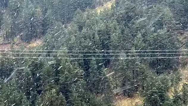 Bolu'da Kar Yağdı