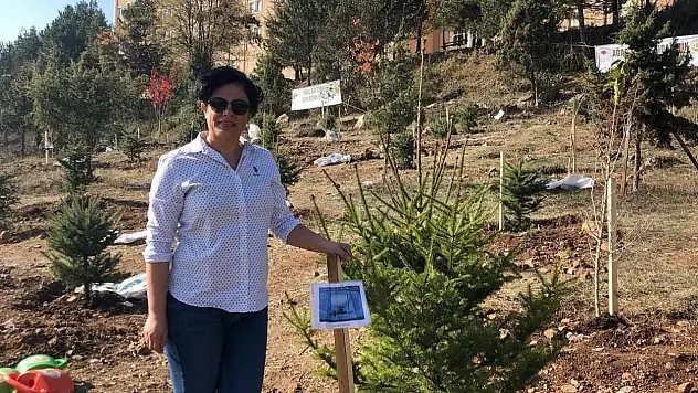 Bolu'da Yaşlı Adam Kalp Krizi Geçirdi