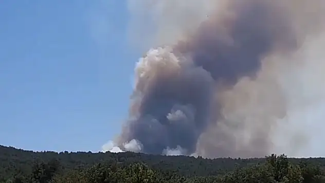 Bolu'da Orman Yangını Başladı