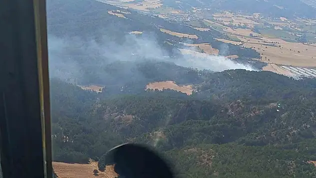 Bolu'da Orman Yangını