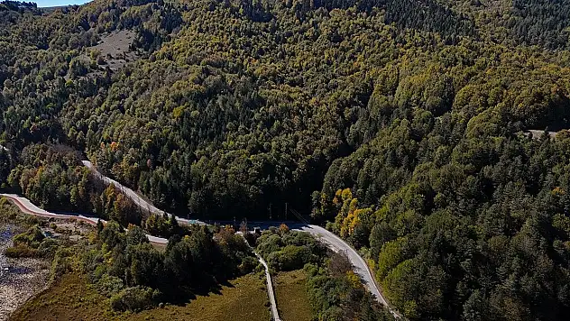 Bolu'da ormanlara giriş 30 Eylül'e kadar yasaklandı