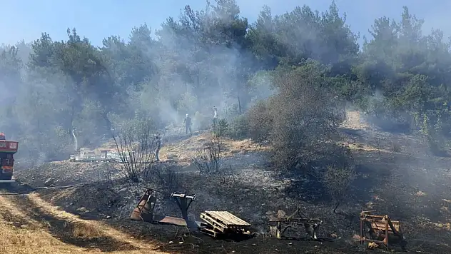 Bolu'da otluk alanda çıkan yangın ormanlık alana sıçramadan söndürüldü