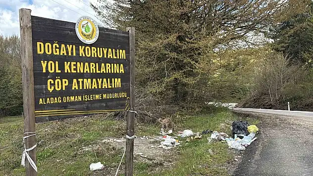 Bolu'da Pes Dedirten Görüntü
