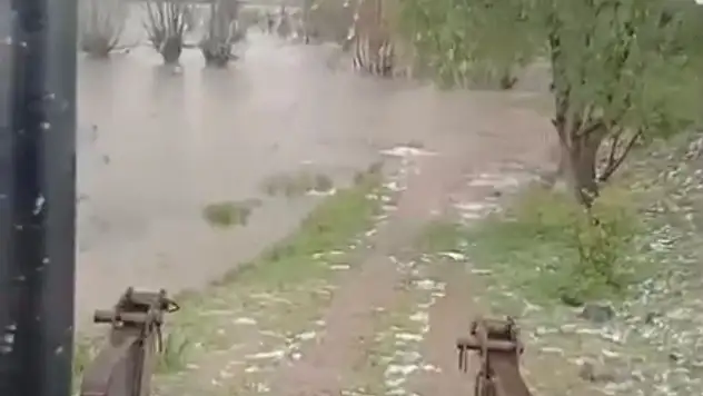 Bolu'da sağanak yağış dereleri taşırdı: Bahçe ve ahırlar sular altında kaldı