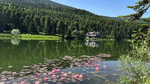 Bolu'da Ormanlık Alanlara Giriş Yasaklandı