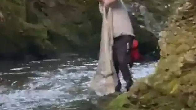 Bolu'da yasak dinlemeyen avcılar kamerada: Serpme ağ ile balık avladılar