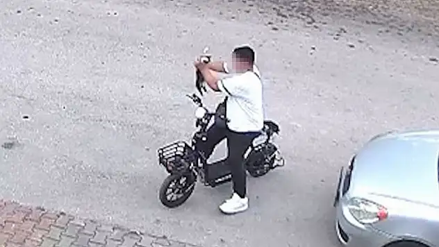 Bolu'da yavru kediyi önce öpüp sonra boğan otizmli çocuk serbest bırakıldı