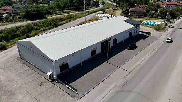 Bolu'daki düğünde lef atma kavgası: Tartışma çıkınca damat bayıldı