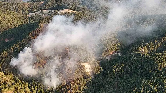 Bolu'daki Orman Yangını Büyük Ölçüde Kontrol Altına Alındı