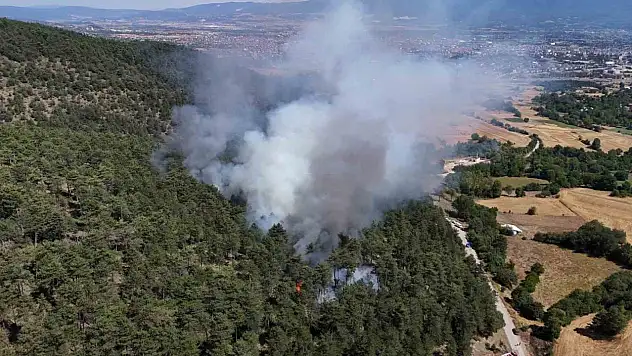 Bolu'daki orman yangını kontrol altına alındı