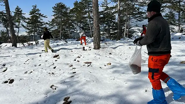 Bolu'nun Ormanlarına Tohum Takviyesi