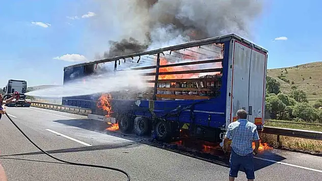 Boya yüklü tır dorsesi alev topuna döndü