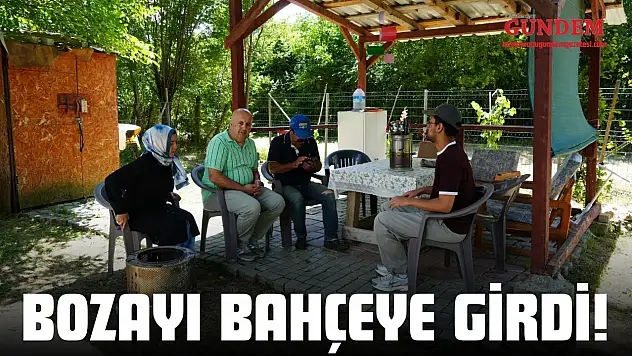 Bozayı Bahçeye Girdi! Vatandaşlar Konteynere Kaçtı