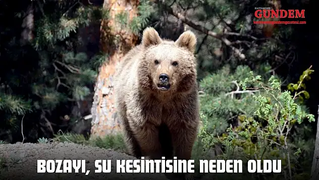 Bozayı, Köyün Suyunun Kesilmesine Neden Oldu