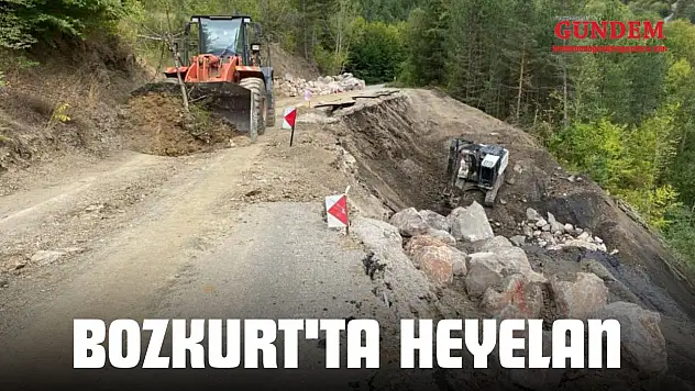Bozkurt'ta Heyelan