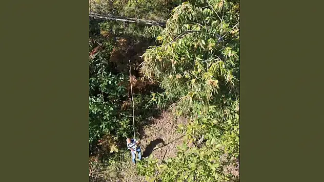 Bozkurt'ta Kestane Hasadı Başladı