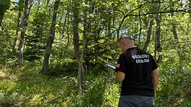 Bozkurt'ta Ormanların Geleceği İçin Bilimsel Çalışma Sürüyor